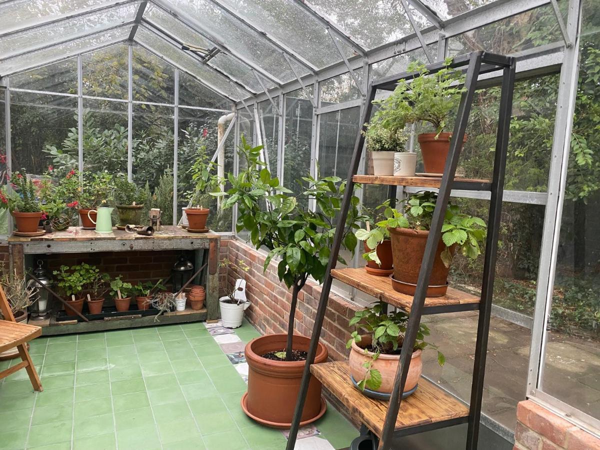 Pear Tree Cabin Beaulieu Εξωτερικό φωτογραφία